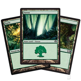 Boite de Lot de 20 Terrains de Base Magic: The Gathering - Forêt