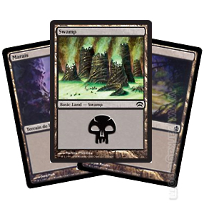 Boite de Lot de 20 Terrains de Base Magic: The Gathering - Marais