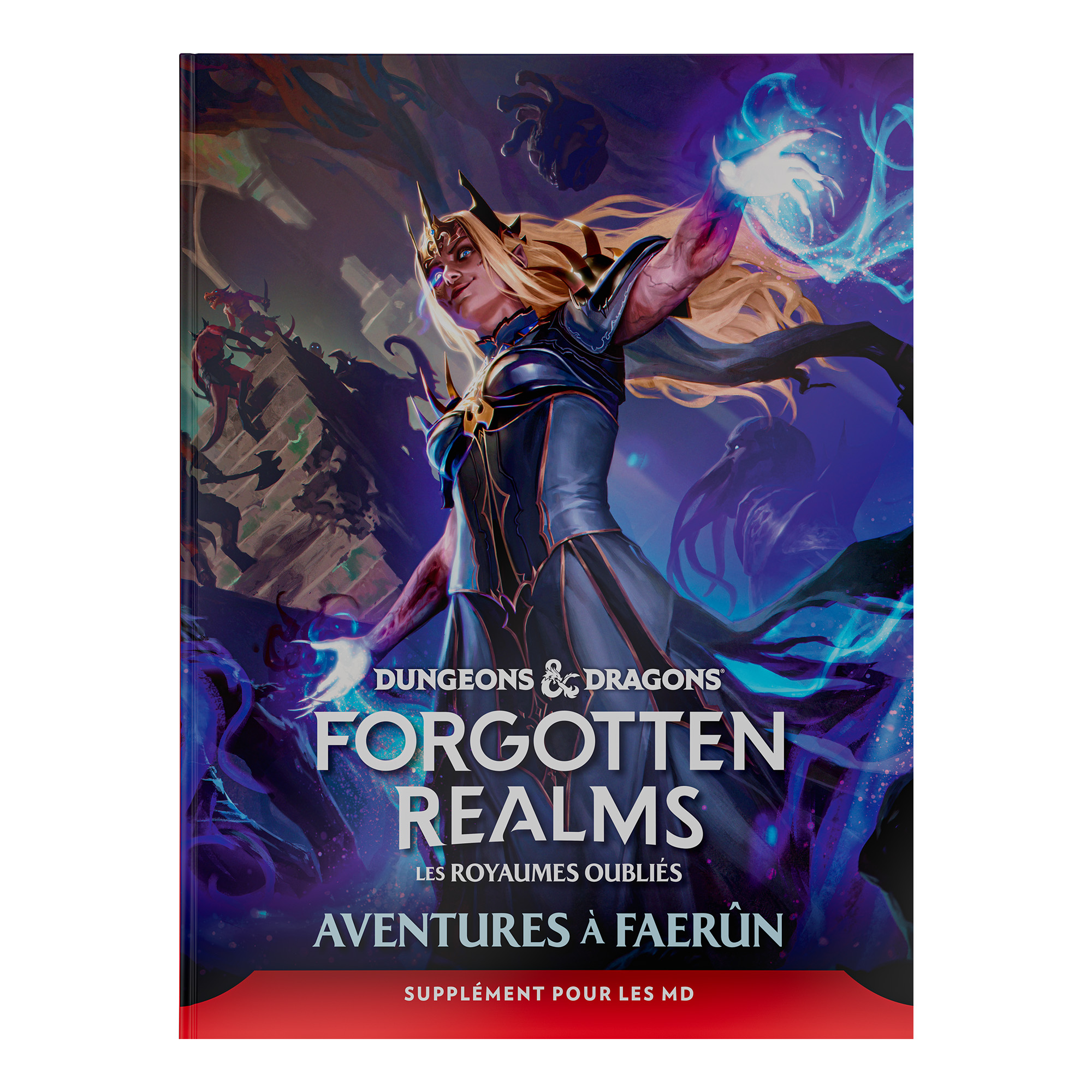 Boite de Dungeons & Dragons : Les Royaumes Oubliés - Aventure à Faerûn - Guide du maître - Hard Cover
