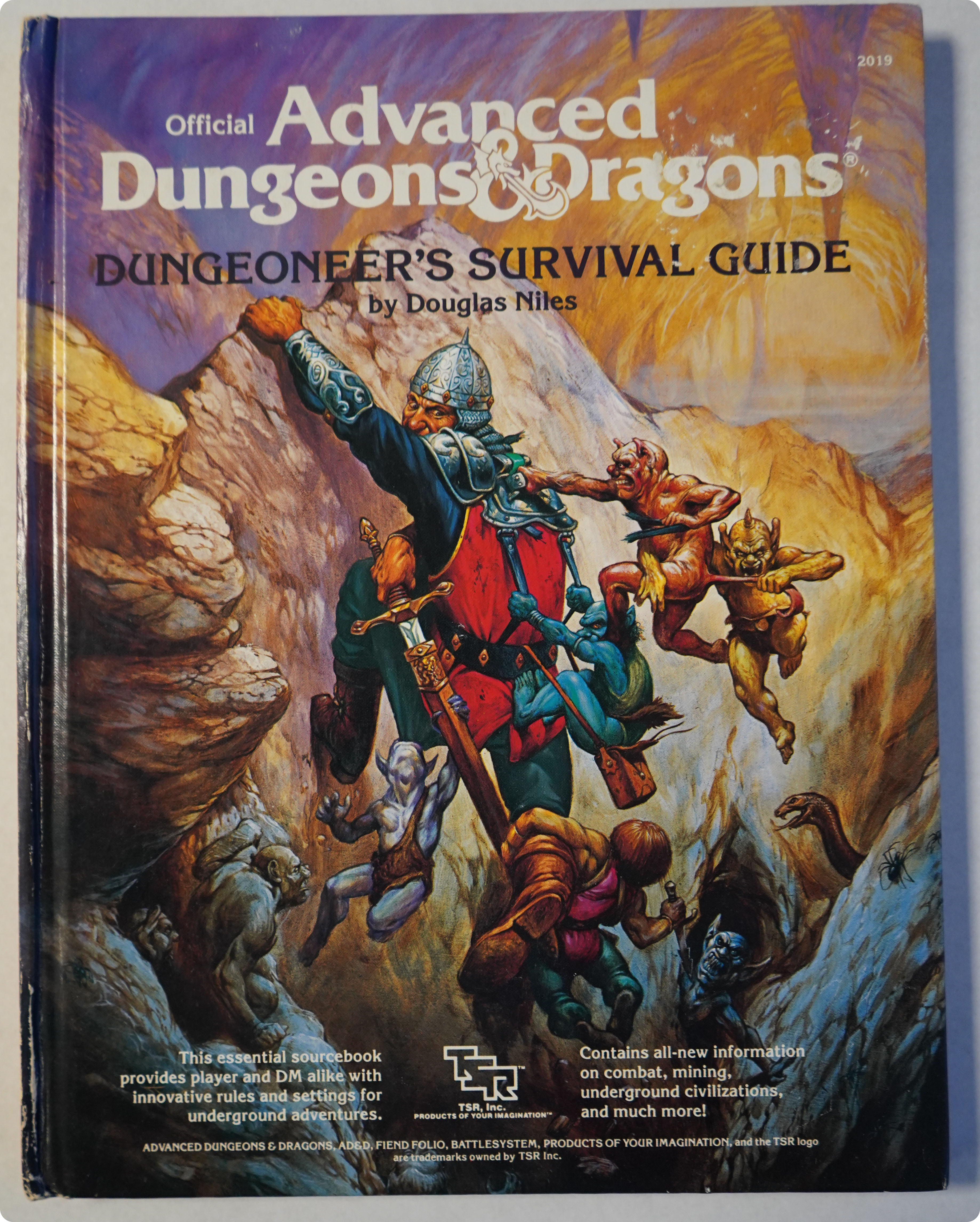 Boite de Advanced Dungeons & Dragons - Dungeoneer's Survival Guide - 2019 (Occasion - Voir photos)