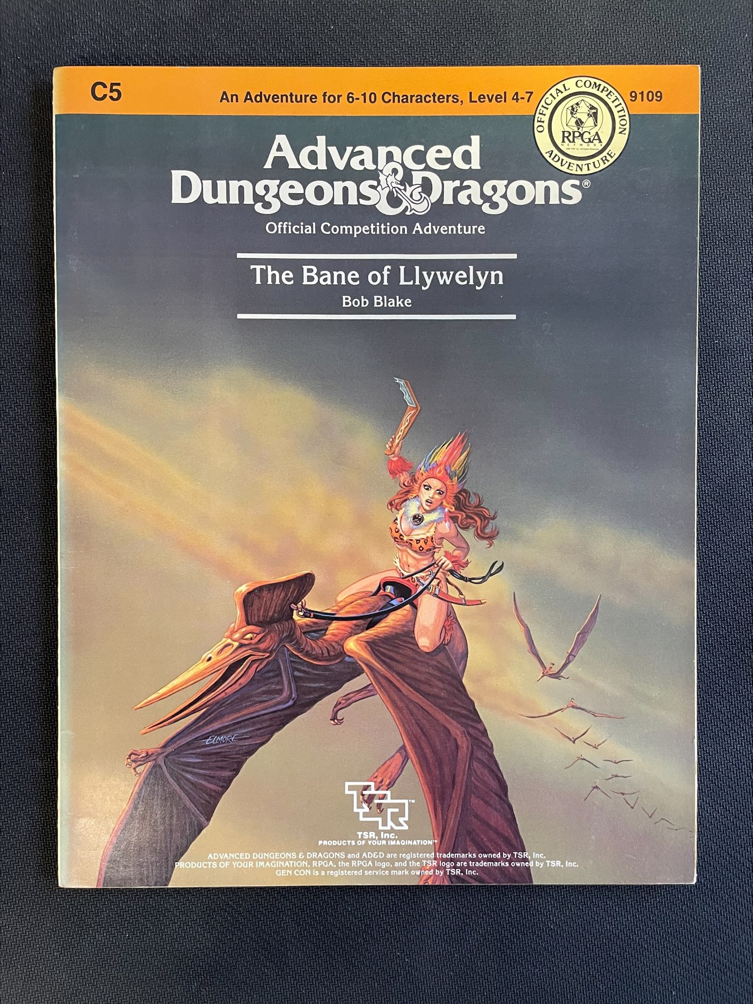 Boite de AD&D Competition Adventure C5 : The Bane of Llywelyn 9109 (Occasion - Voir photos)