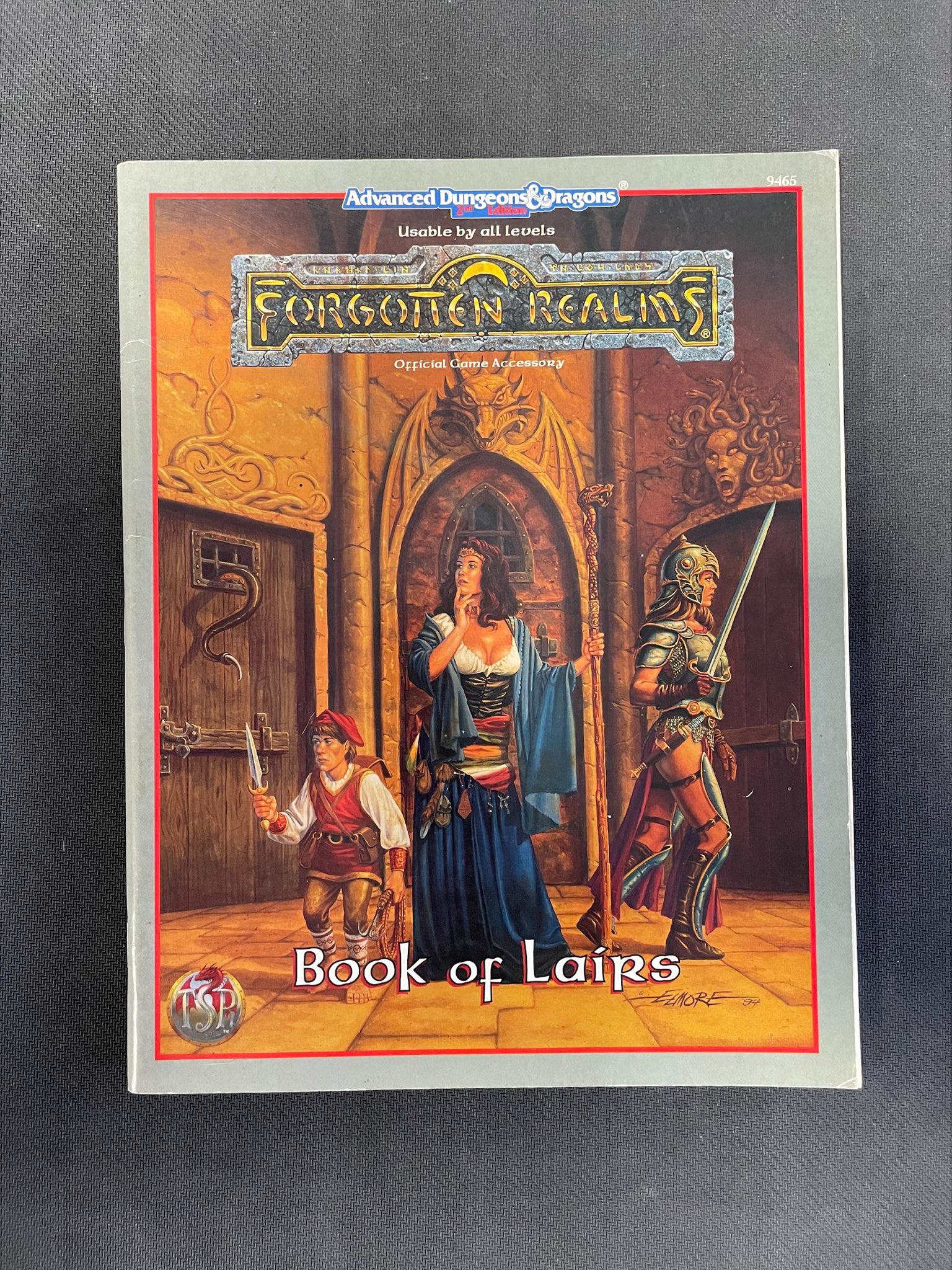 Boite de AD&D : Forgotten Realms - Book of Lairs 9465 (Occasion - Voir photos)
