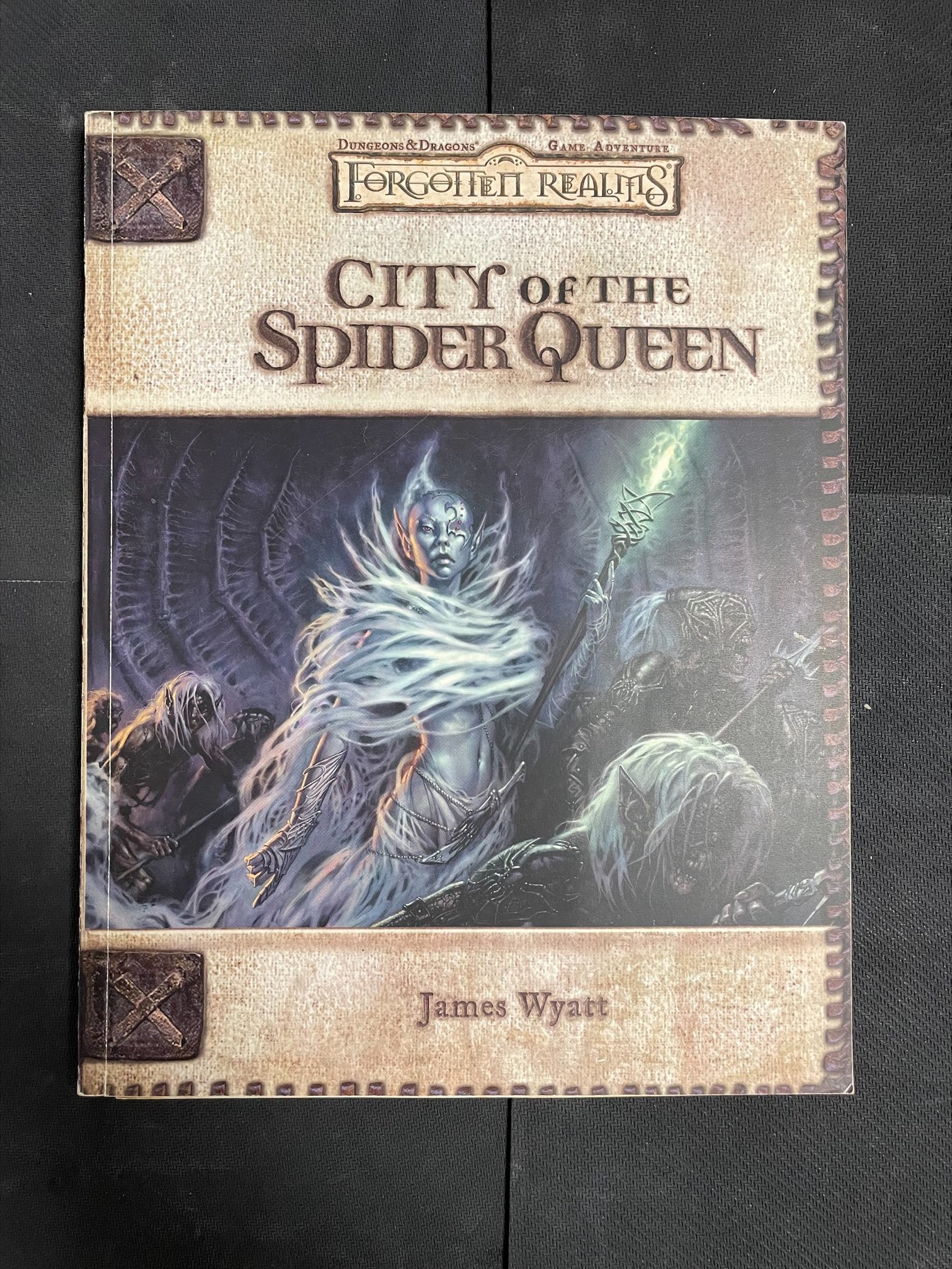 Boite de D&D 3.5: Forgotten Realms : City of the Spider Queen 885740000 (Occasion - Voir photos)