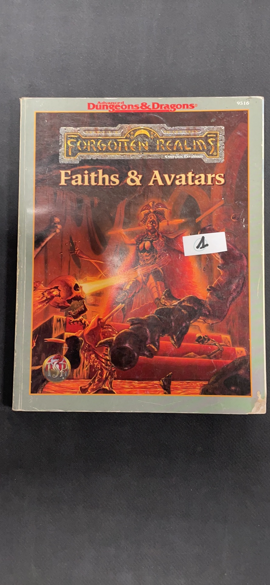 Boite de AD&D Forgotten Realms : Faiths & Avatars 9516 (Occasion - Voir photos)