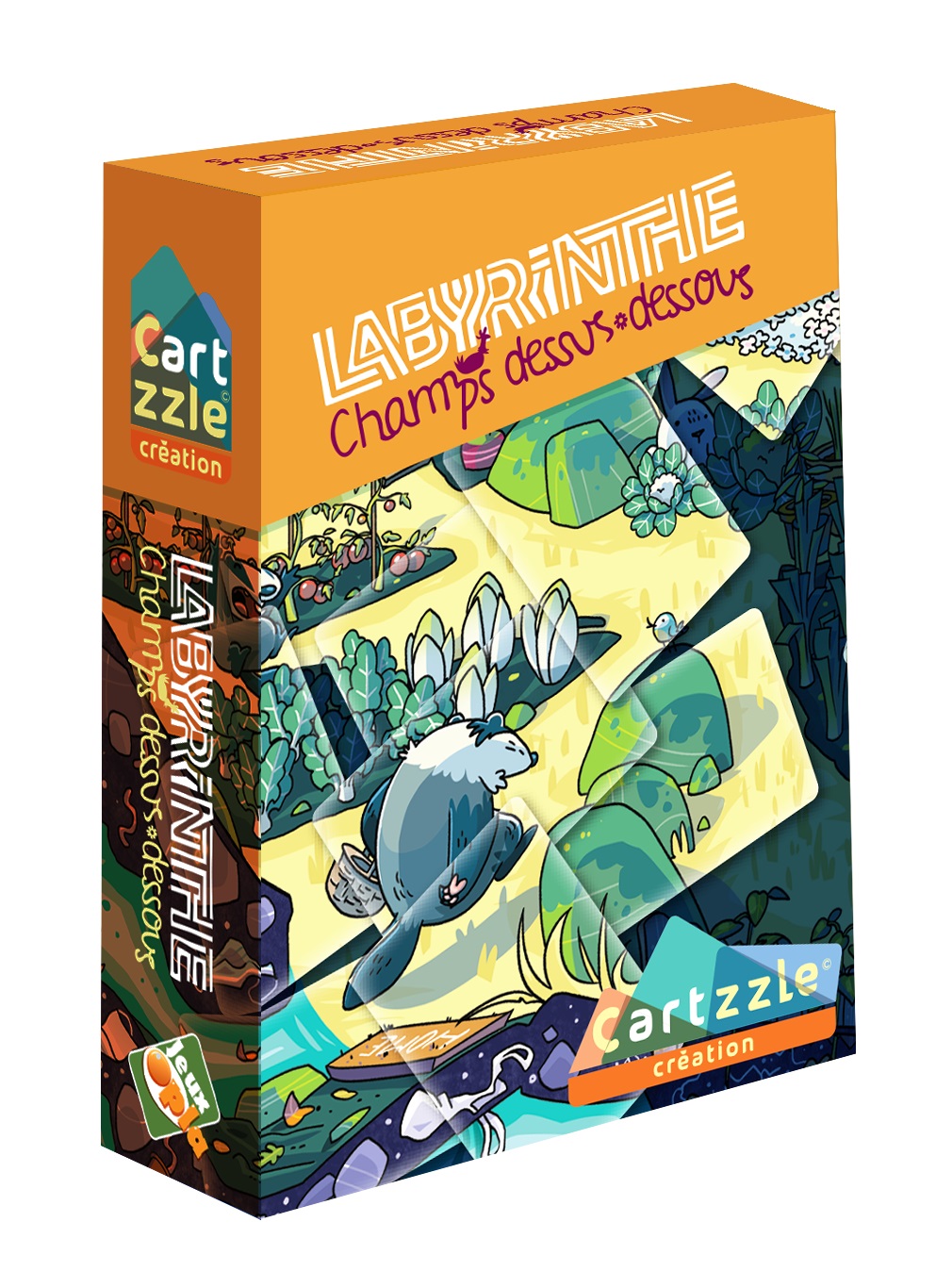 Boite de Cartzzle : Labyrinthe Champs dessus-dessous