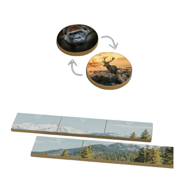 Boite de Earth - Règne Animal - KS Goodies