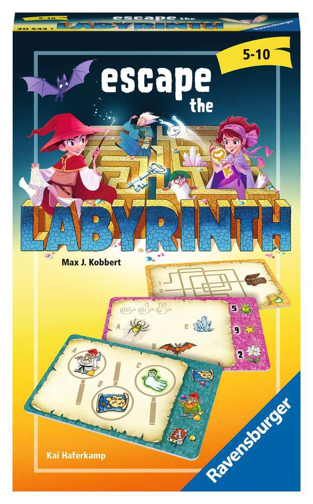 Boite de Escape the Labyrinth