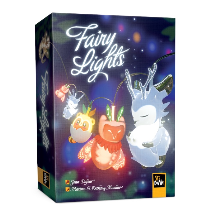 Boite de Fairy Lights