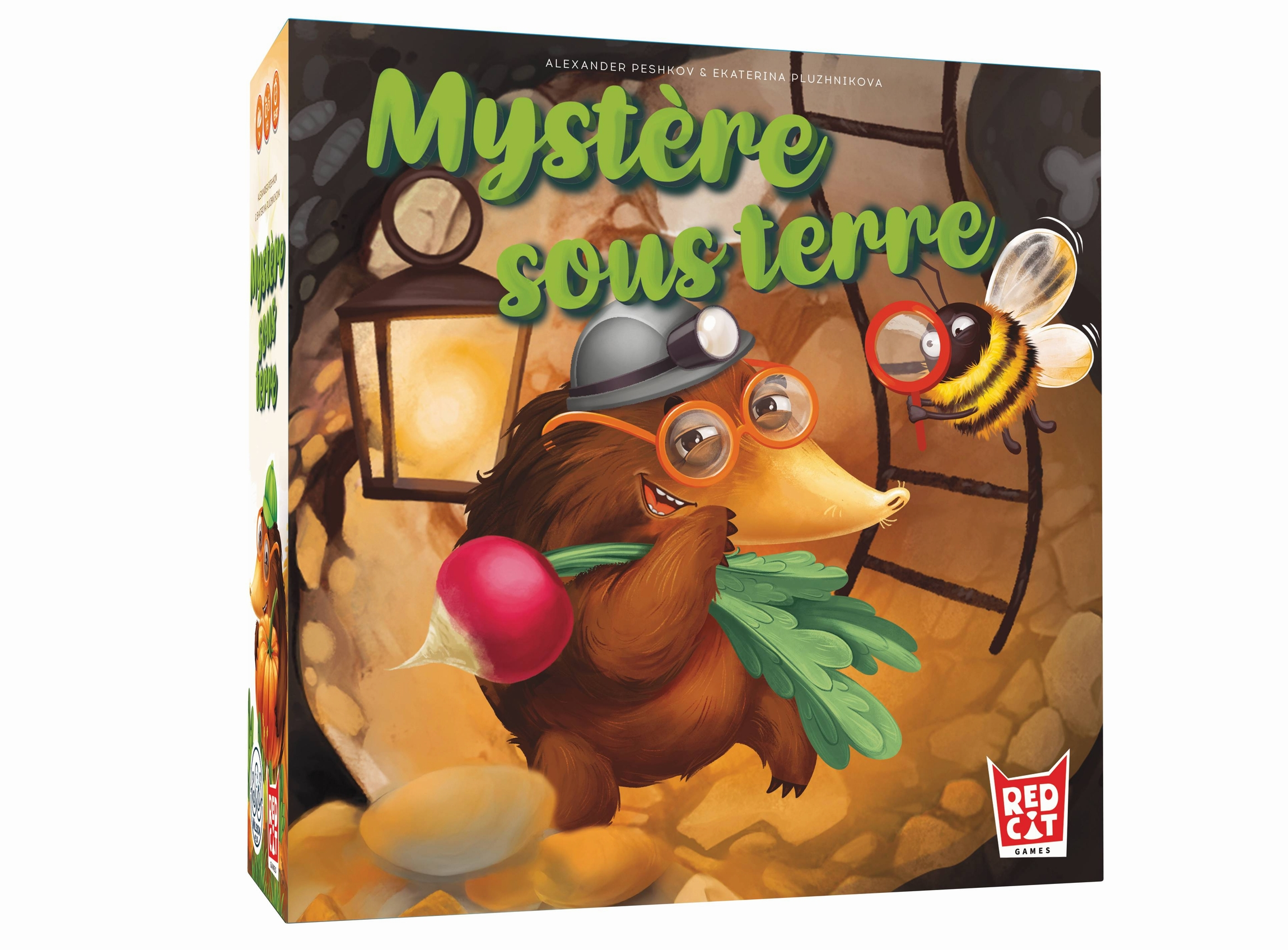 Boite de Mystère Sous Terre