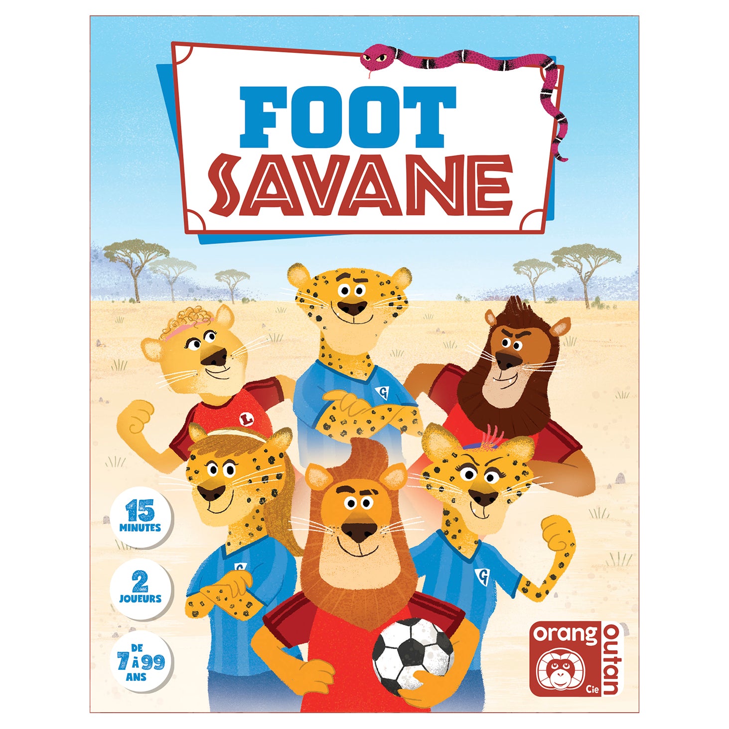 Boite de Foot Savane