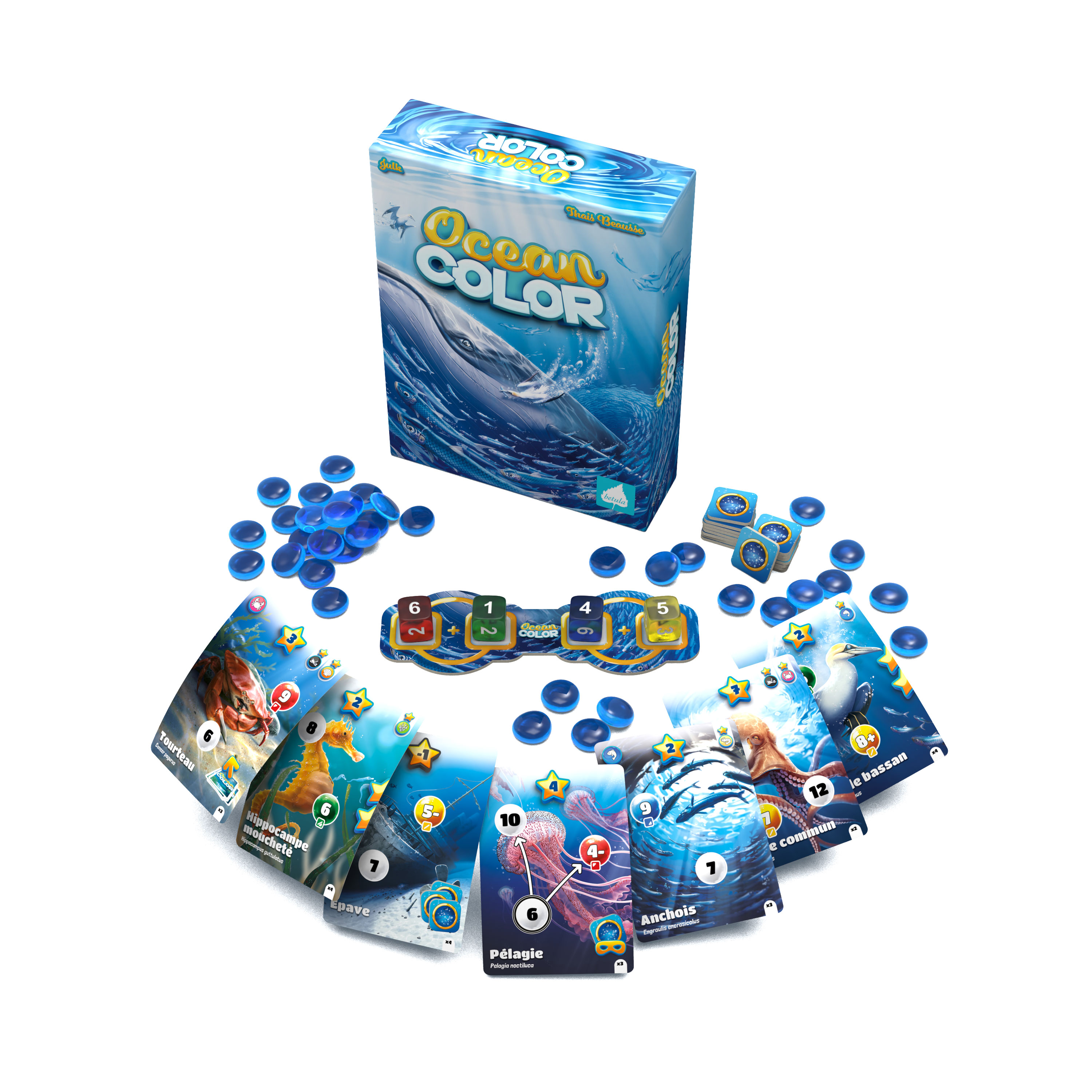 Boite de Ocean Color