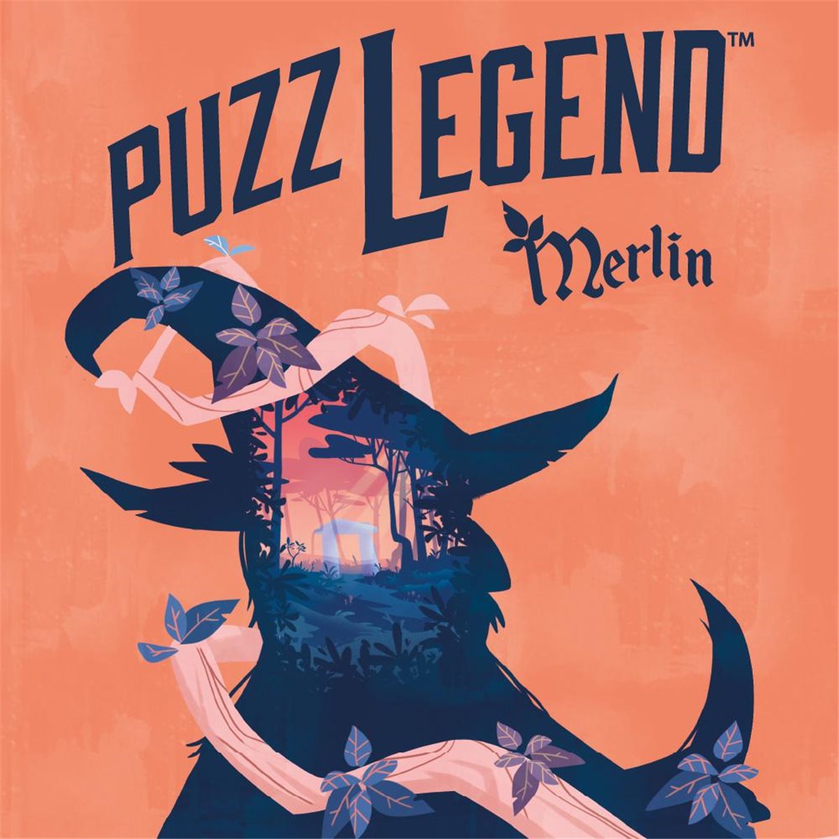 Boite de Puzzlegend Merlin