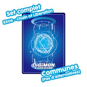 Lot of 1000 Digimon Card Game Rare cards + 50 SR/PR + Storage Box (1000 R +  50 SR/PR + Storage Box) - Parkage.com